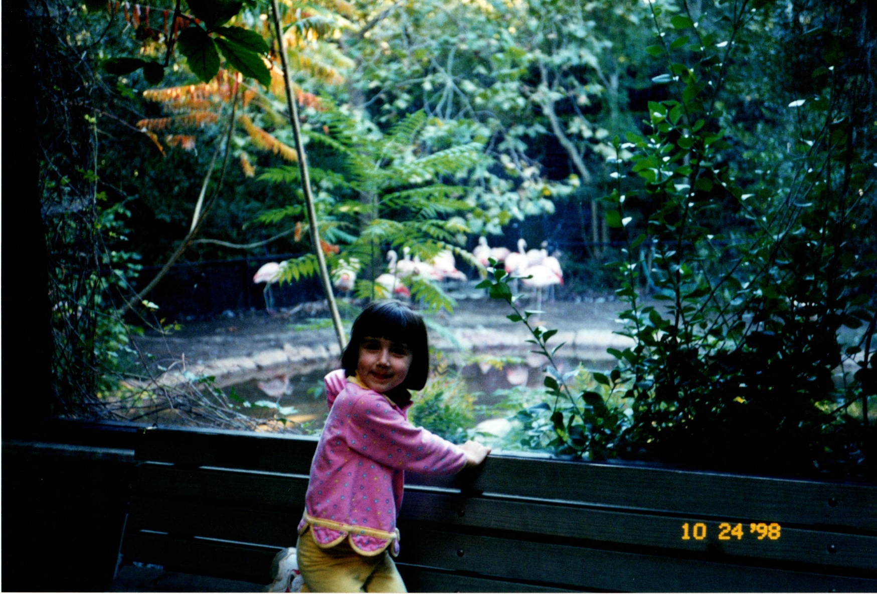 ./1998/18 - October/img06272020_751.jpg